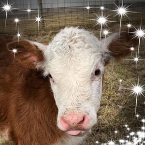 Meet your Posher, Jacquelyn